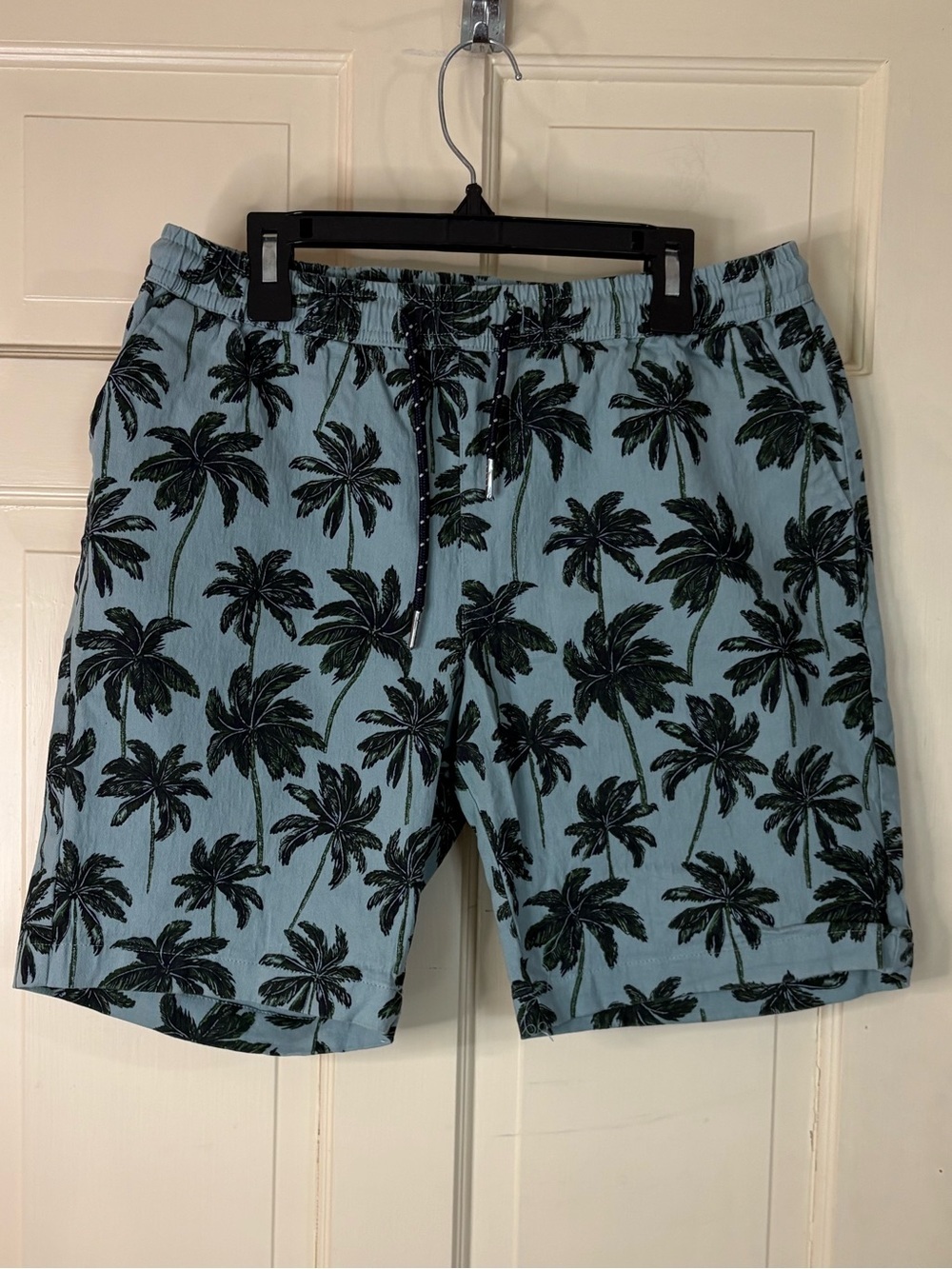Public Record Blue w/ Palm Trees Cotton  Shorts Men’s Size Medium Beach Travel